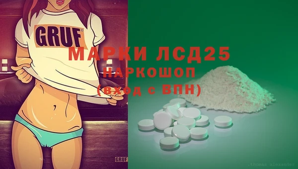 ПСИЛОЦИБИНОВЫЕ ГРИБЫ Корсаков